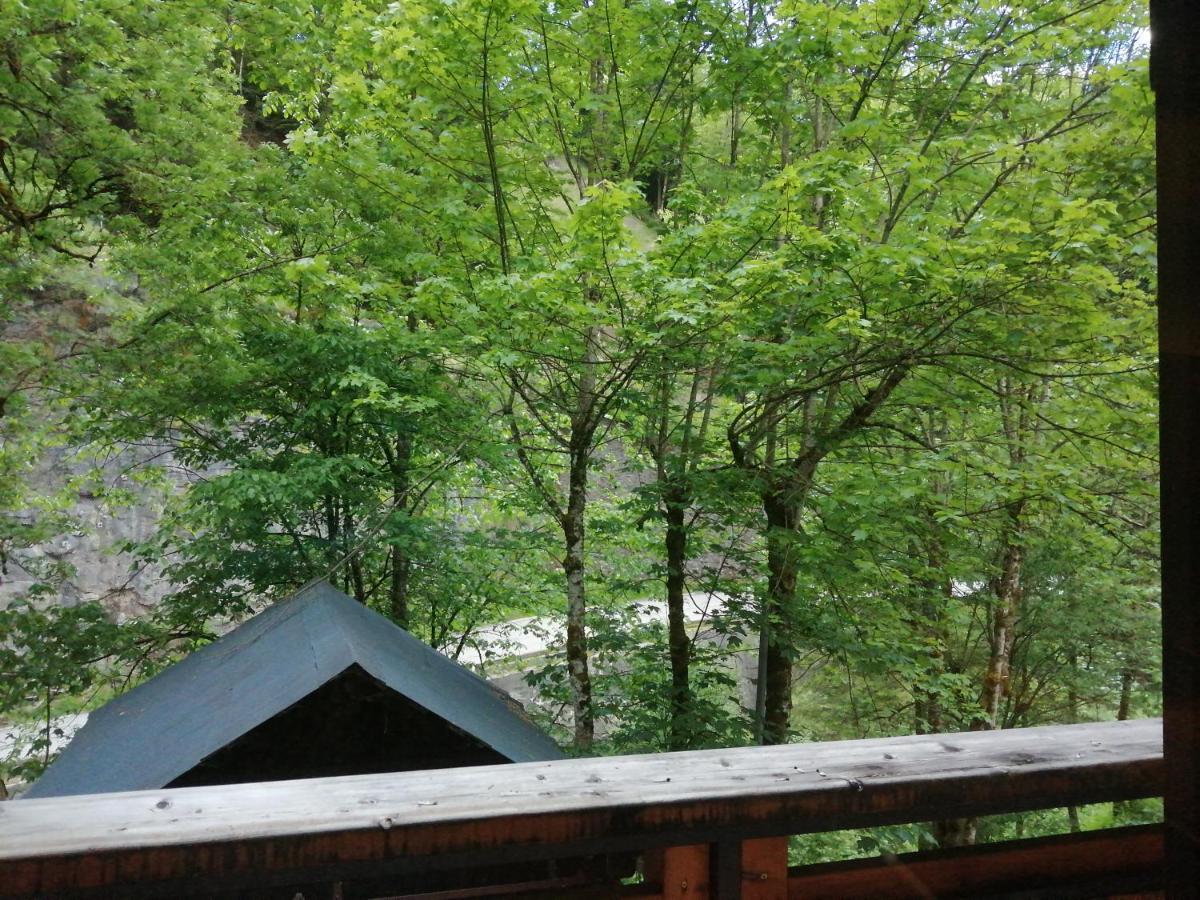 Chalet Au Pont De Flon Le Cornix エクステリア 写真